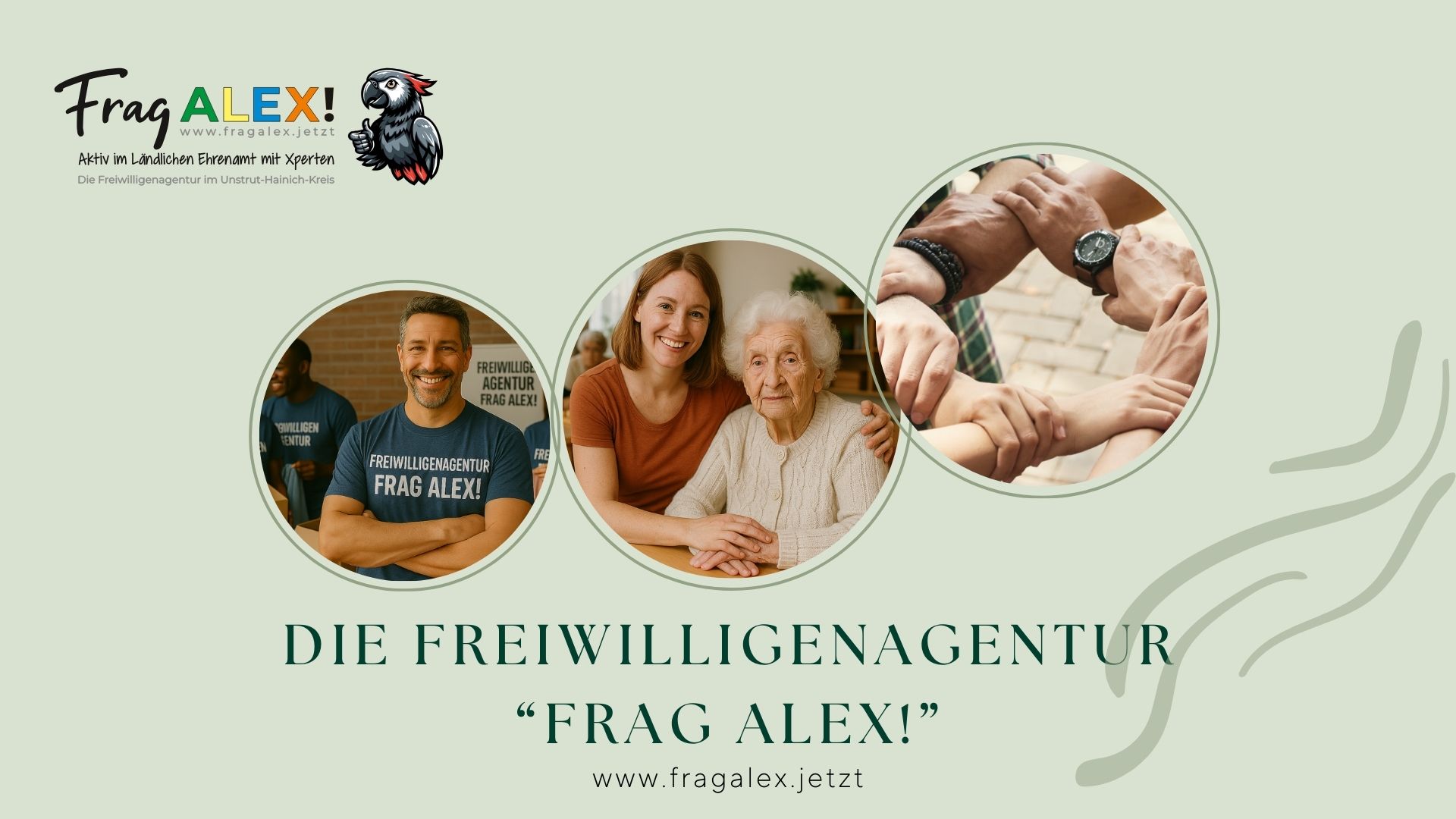 Die Freiwilligenagentur Frag Alex